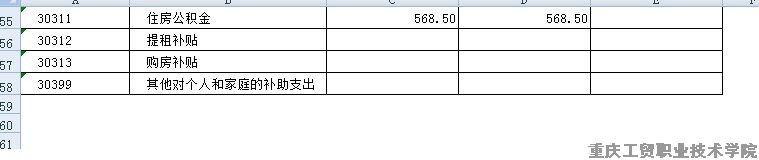 拉斯维加斯lswjs05672016年部门预算表