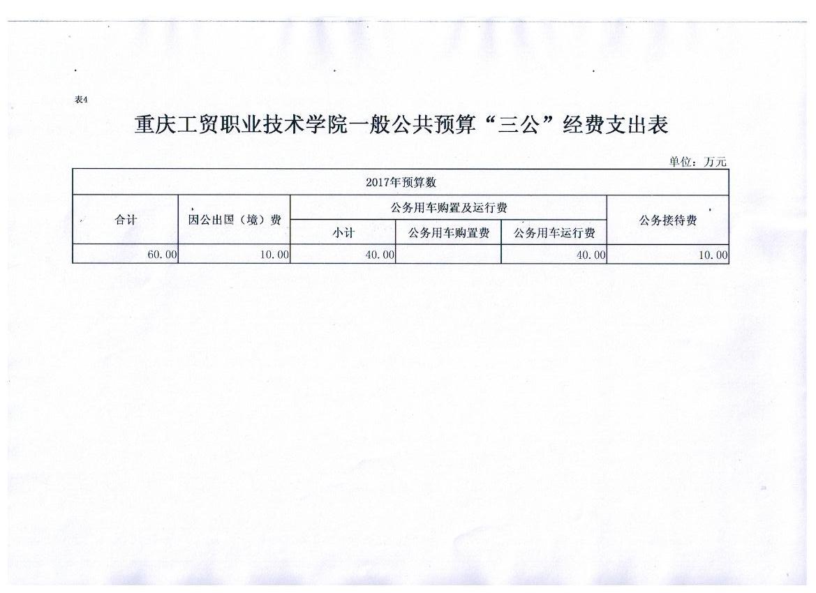 拉斯维加斯lswjs05672017年部门预算表