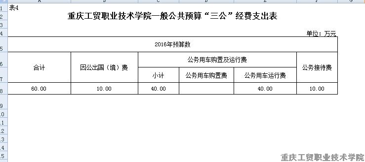 拉斯维加斯lswjs05672016年部门预算表