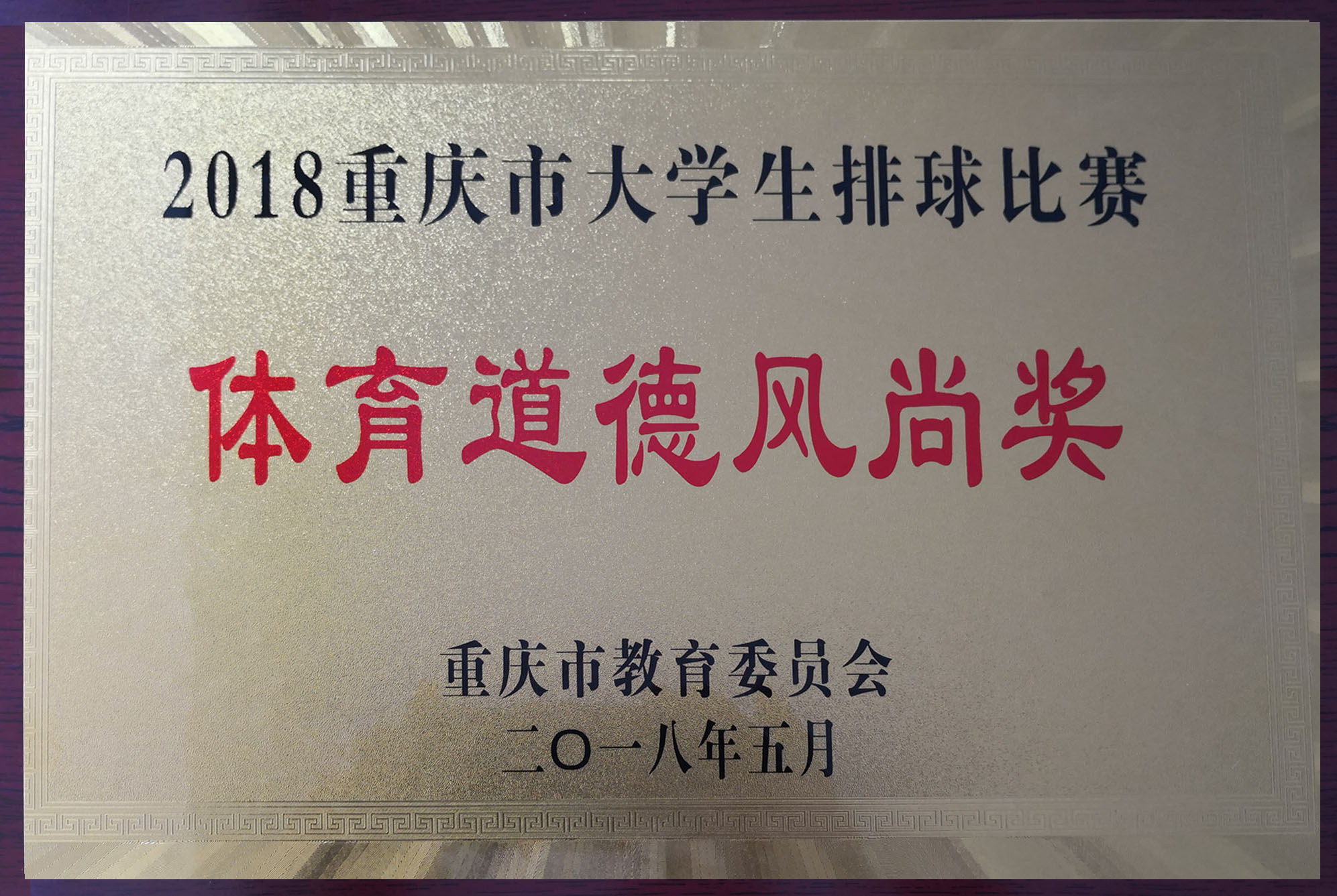 我院女男排勇夺大运会排球冠亚军