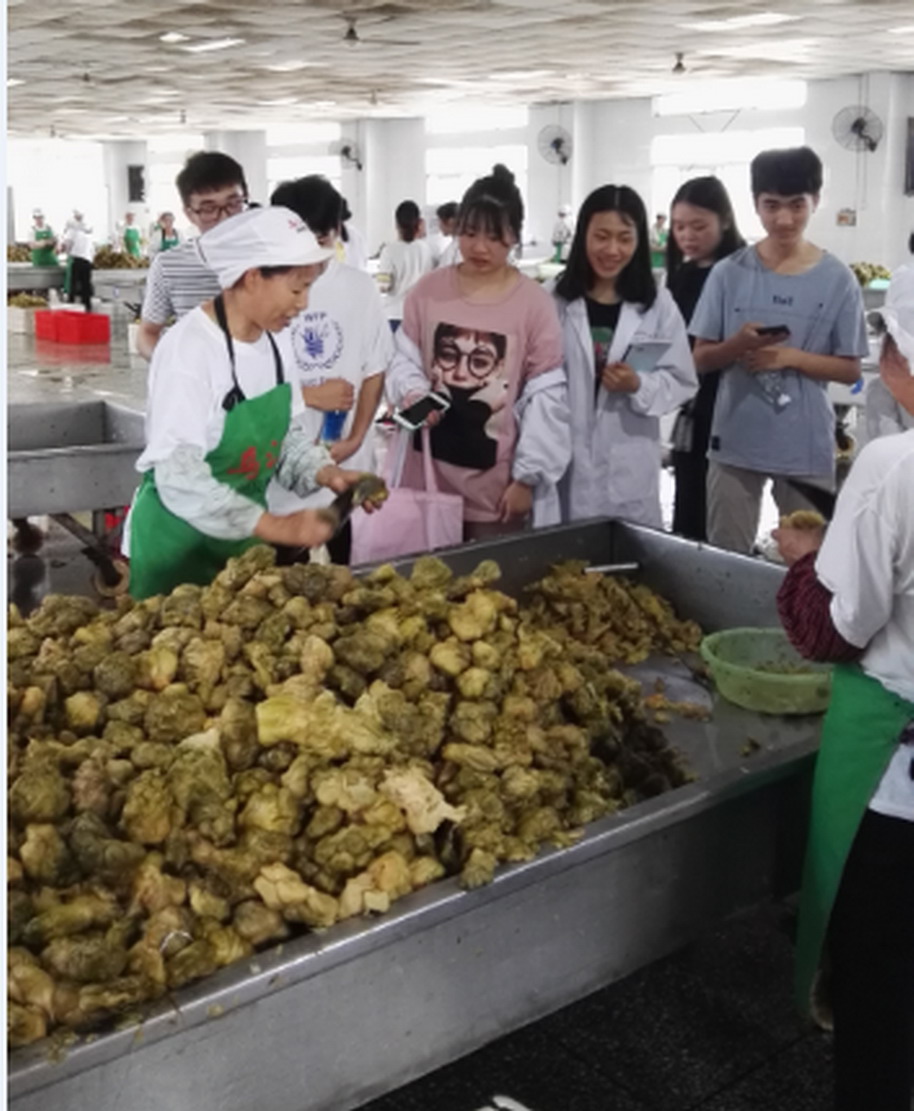 生物化学工程系2016级食品检测技术专业学生到涪陵榨菜集团参观学习